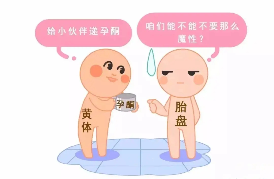 HCG和孕酮低一定會流產(chǎn)？備孕女性必須知道的孕早期“秘密”