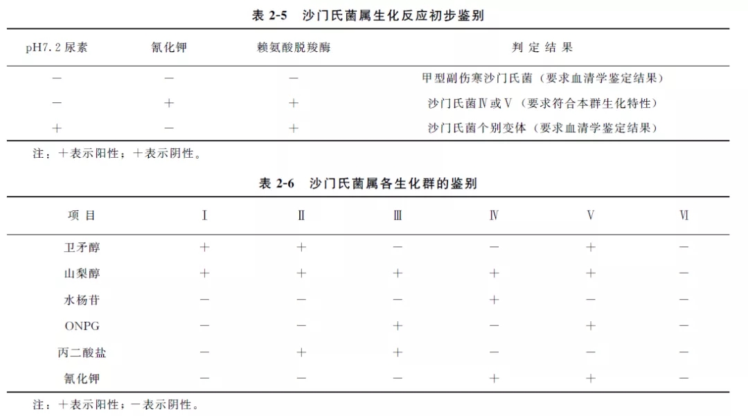 沙門氏菌屬生化反應初步鑒別